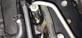 IMG_20210528_220318.jpg