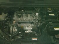 CAM01081.jpg