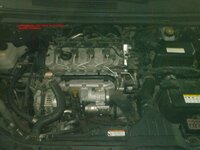 CAM01081.jpg