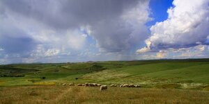 paisajes-extremenos-0000000196_500.jpg