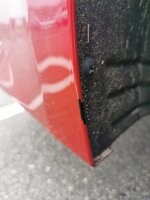 IMG_20210805_202521.jpg