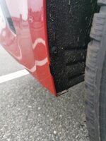 IMG_20210805_202516.jpg