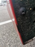 IMG_20210805_202530.jpg