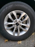 IMG_20211117_094037.jpg