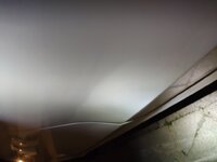 IMG_20220119_194506.jpg
