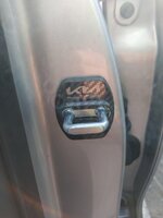 IMG_20220302_174050.jpg