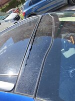 IMG_0027.jpg