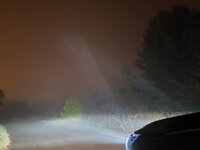 20220110_202530.jpg