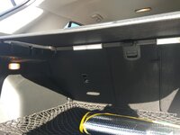 IMG_20220818_093621.jpg
