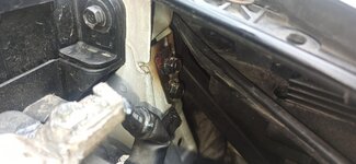 IMG_20230613_095459.jpg