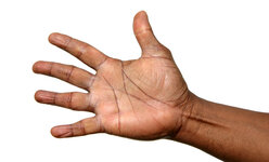 218344mano.jpg