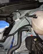 IMG_20231003_134444.jpg