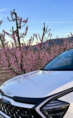 IMG_3211.jpeg