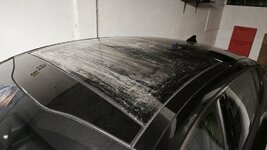 IMG_20240303_202335.jpg