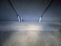 IMG_3557.jpeg