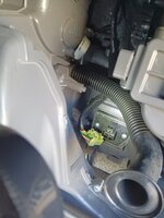 IMG_20240511_164906.jpg