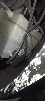 IMG_20240518_120417.jpg