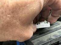 IMG_0823.jpeg