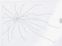 1726138065557.png 1726138065557.png