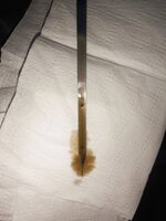 IMG_20250120_203104.jpg