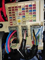 IMG_20250312_101550.jpg