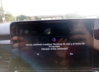 IMG_9793.jpeg