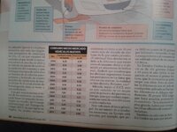 3 - b.jpg