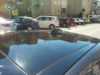 IMG_20150227_142151.jpg