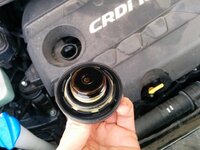 Pre revisión tapon acelite.jpg