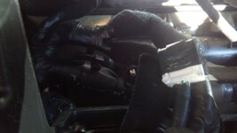 IMG_20160324_082259.jpg