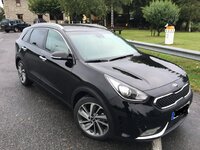 niro 2.jpg