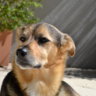 facu2007