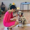 gimenica
