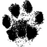 foxyman