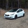 svin20
