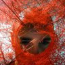 Jose Vicente
