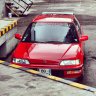 momo_evol